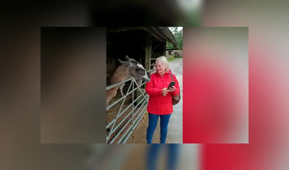 YouTube viral: mujer intenta tomarse ‘selfie’ con llama y esta ‘posa’ para salir bien en la fotografía