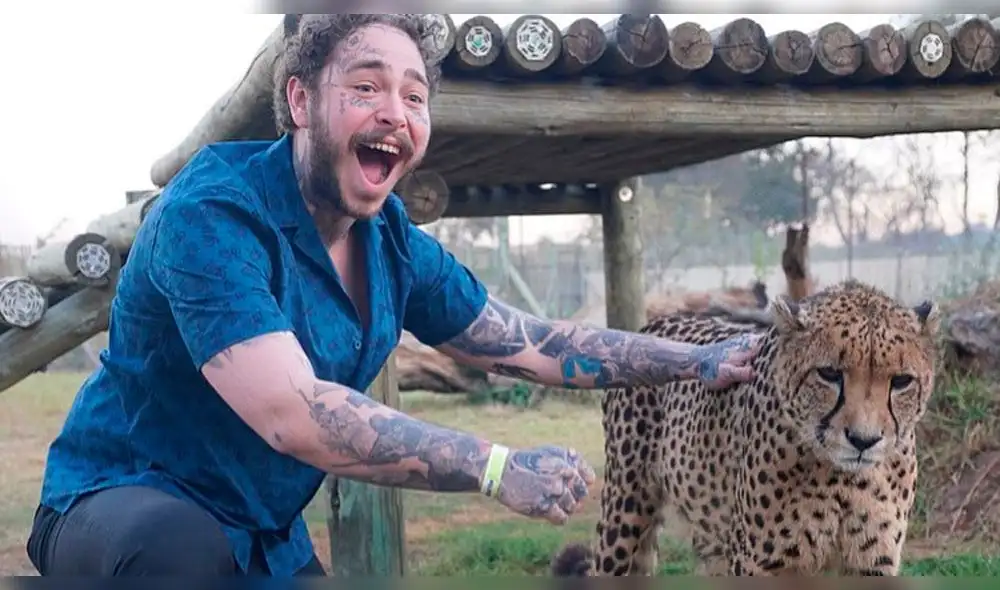 AMAs 2019: Lista completa de nominados y cómo votar en los American Music Awards | BTS | Post Malone | Taylor Swift AMAs 2019: Lista completa de nominados y cómo votar en los American Music Awards | BTS | Post Malone | Taylor Swift