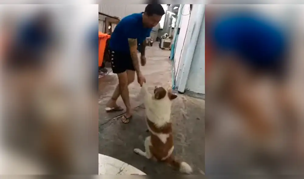 YouTube viral: perro no quiere que se dueño lo bañe y hace de todo para evitarlo YouTube viral: perro no quiere que se dueño lo bañe y hace de todo para evitarlo
