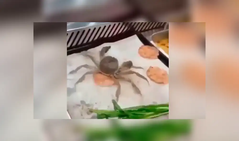 Facebook viral: cangrejo intenta escapar de cocinero y sin querer cae a la olla hirviendo Facebook viral: cangrejo intenta escapar de cocinero y sin querer cae a la olla hirviendo