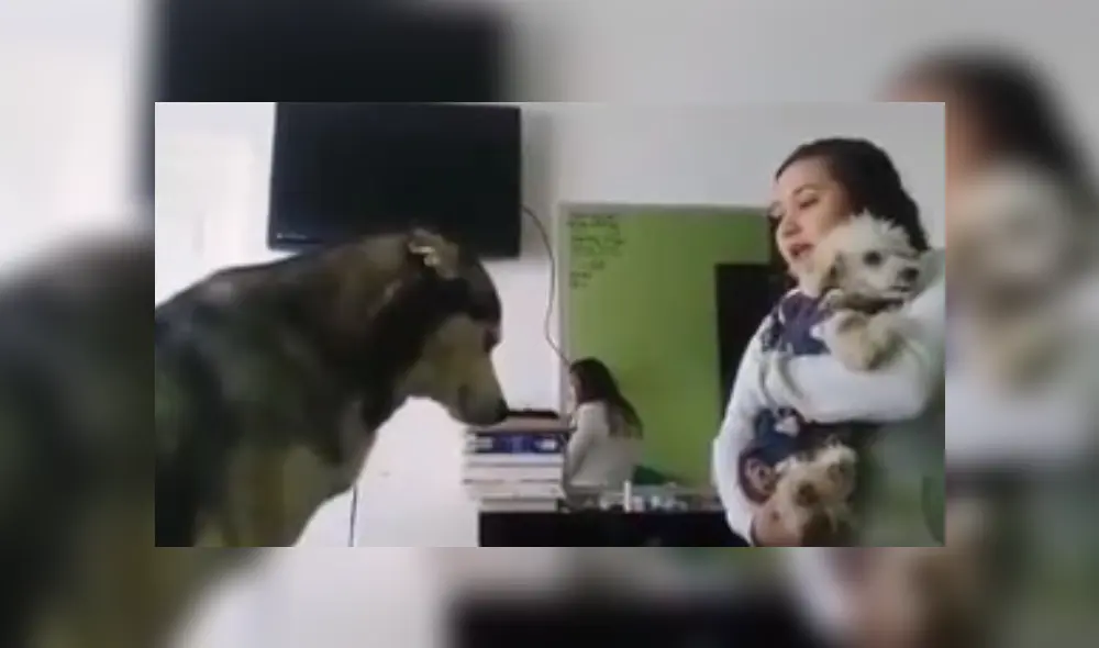 Desliza hacia la izquierda para ver más del video viral