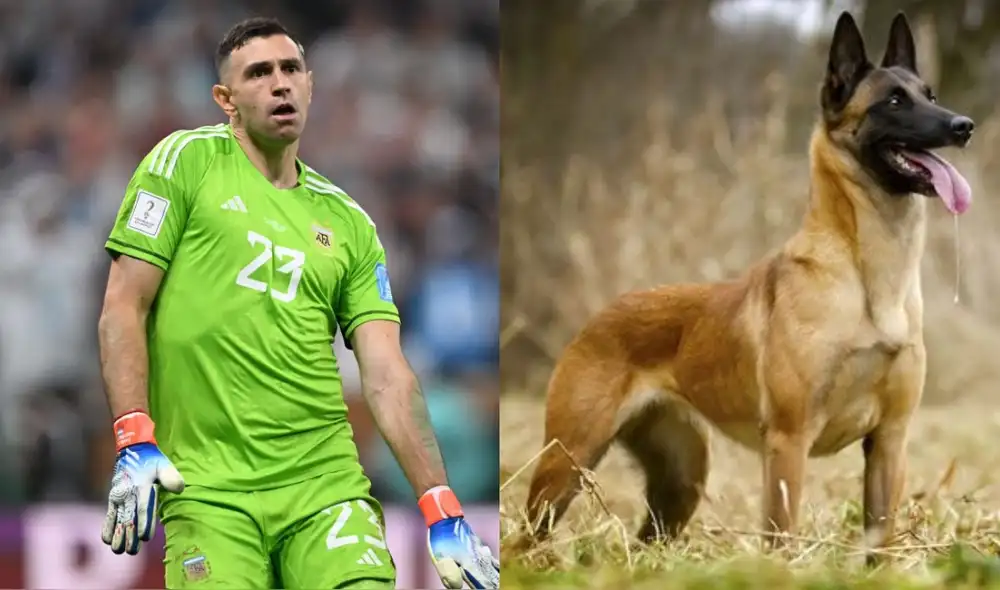 Emiliano Martínez llamó la atención de la prensa inglesa por el precio de su nueva mascota. Foto: composición LR/AFP