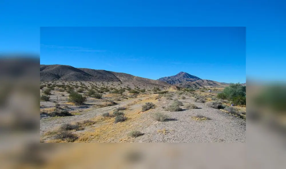Acusan a hombre de secuestrar y matar a ex pareja con habilidades especiales Acusan a hombre de secuestrar y matar a ex pareja con habilidades especiales
