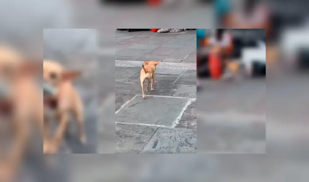 Desliza para ver los detalles del video viral de Facebook. Foto: Captura. Desliza para ver los detalles del video viral de Facebook. Foto: Captura.