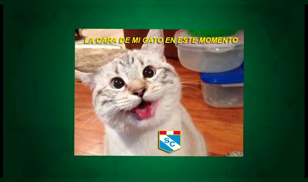 Alianza vs Cristal: título celeste desata divertidos memes en redes [FOTOS]