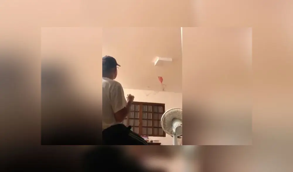 Desliza las imágenes para ver el increíble hallazgo que hizo la joven al volver a casa con su padre. Foto: Captura