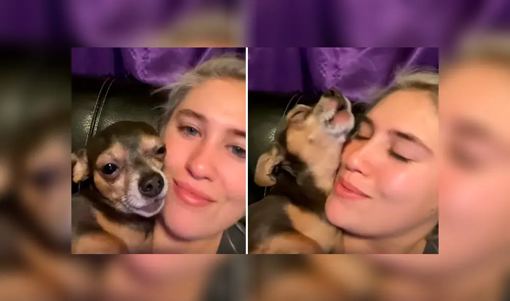 Desliza las imágenes para apreciar el tierno comportamiento de un perro al recibir caricias de su dueña. Desliza las imágenes para apreciar el tierno comportamiento de un perro al recibir caricias de su dueña.