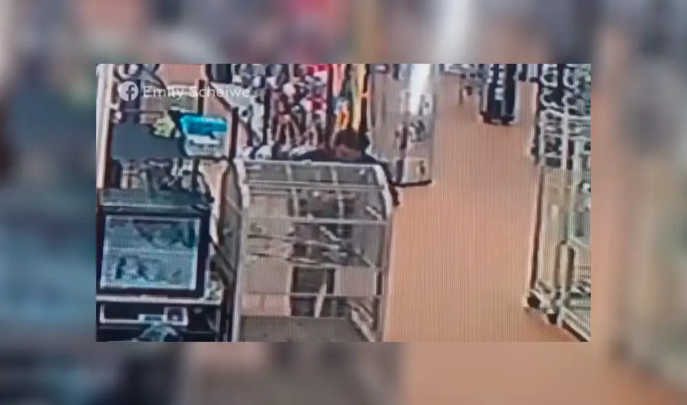 YouTube viral: un hombre ocultó en el lugar menos indicado a una serpiente que había robado  [VIDEO] 