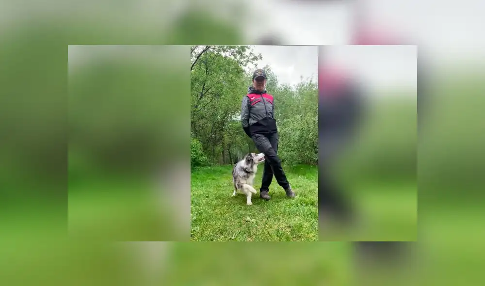 Desliza las imágenes para ver la peculiar sorpresa que se llevó una mujer al revisar el teléfono de su madre  verla bailar junto a su perro. Foto: TikTok