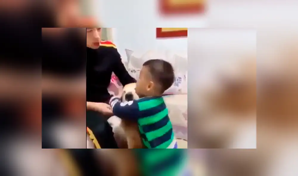 Vía Facebook. El papá simuló golpear a su bebé delante del can, sin imaginar la peculiar intervención que tendría este para proteger al pequeño