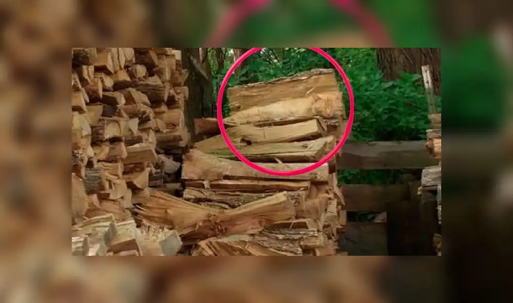 Desliza las imágenes para ver la ubicación de este travieso gato que se escondió entre leños para dormir la siesta. Foto: Facebook Desliza las imágenes para ver la ubicación de este travieso gato que se escondió entre leños para dormir la siesta. Foto: Facebook