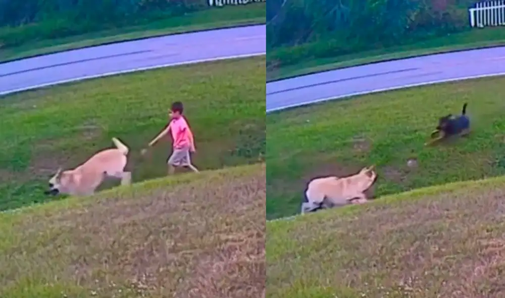 Esta video consiguió más de 1 millón de 'me gusta' en TikTok. Foto: composición LR / TikTok / @sellandbuywithart Esta video consiguió más de 1 millón de 'me gusta' en TikTok. Foto: composición LR / TikTok / @sellandbuywithart