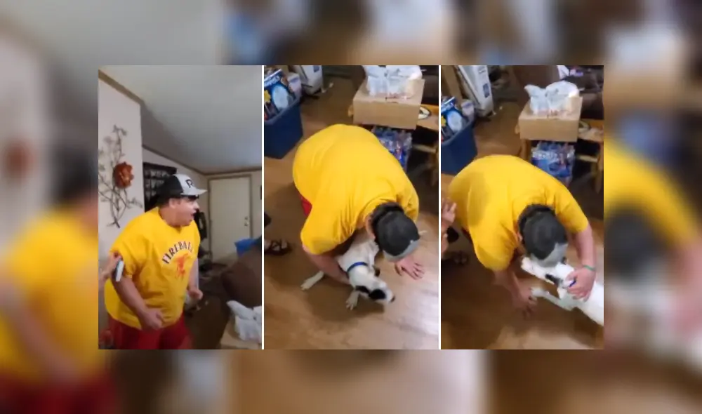 Desliza las imágenes para ver más detalles de esta tierna escena que es viral en YouTube. Desliza las imágenes para ver más detalles de esta tierna escena que es viral en YouTube.