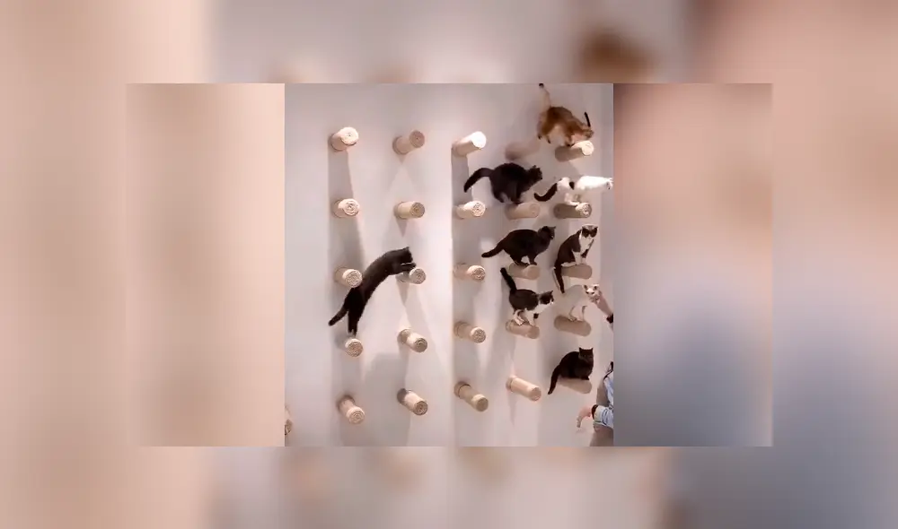 Desliza para ver todas las imágenes de Facebook. Desliza para ver todas las imágenes de Facebook.