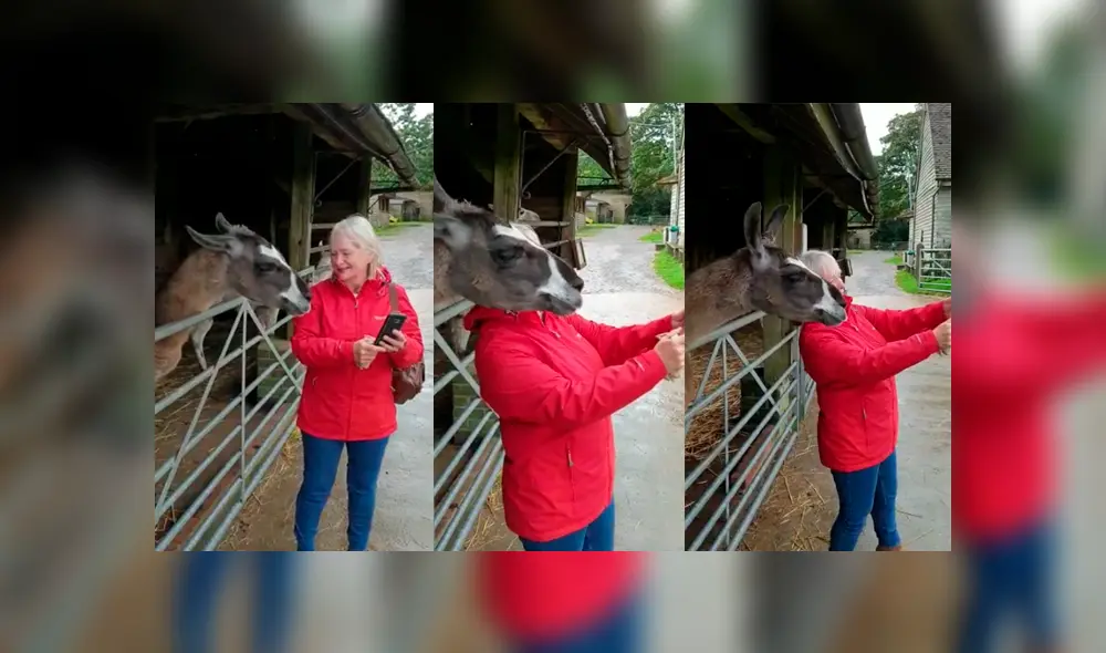 YouTube viral: mujer intenta tomarse ‘selfie’ con llama y esta ‘posa’ para salir bien en la fotografía