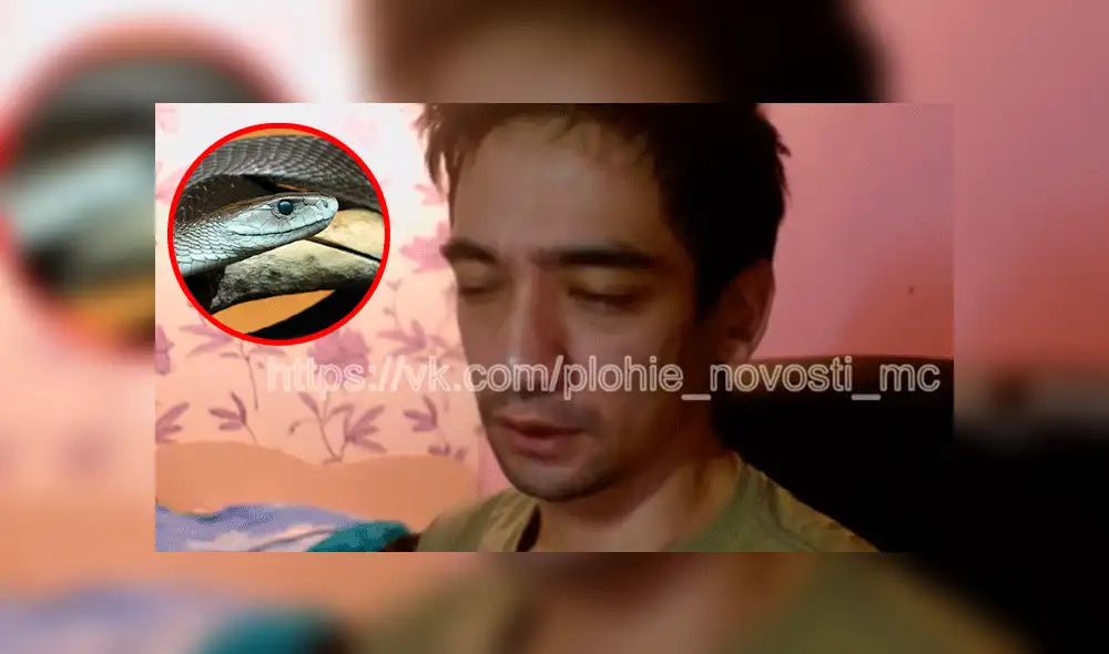En YouTube, joven se deja morder por serpiente y transmite su muerte en vivo En YouTube, joven se deja morder por serpiente y transmite su muerte en vivo