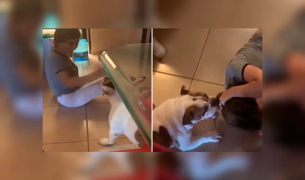 Desliza para ver los momentos más divertidos del video que se hizo viral en Facebook. Desliza para ver los momentos más divertidos del video que se hizo viral en Facebook.