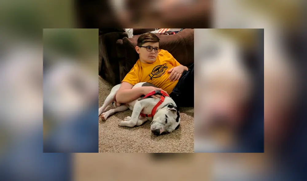 Facebook: perro fue maltratado y abandonado en una bolsa de basura, se recuperó y ahora luce así