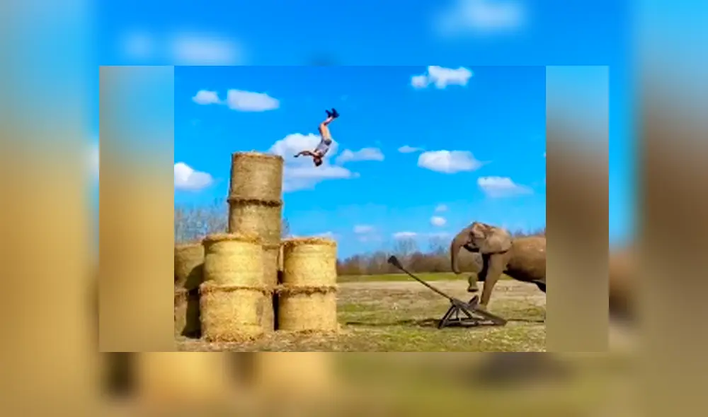 Desliza para ver todas las imágenes de TikTok. Foto: captura