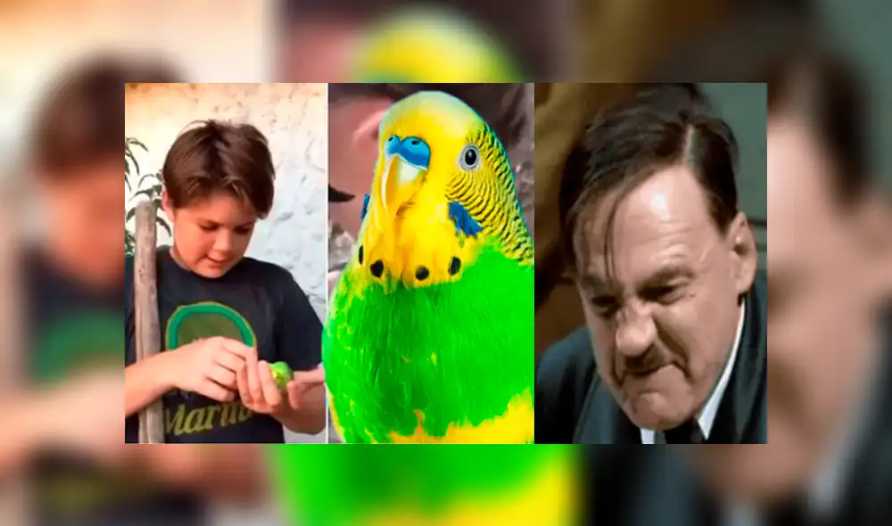 Facebook viral: “Hitler” tuvo inesperada reacción al enterarse de la muerte de 'Chimuelo' [VIDEO]