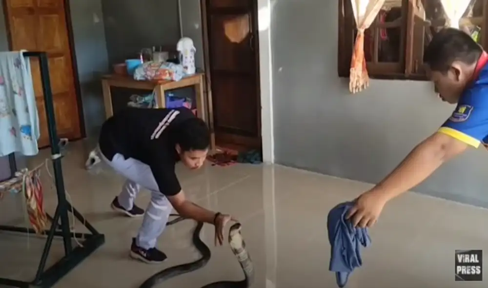 Desliza hacia la izquierda para ver las imágenes del viral de YouTube. Foto: ViralPress.