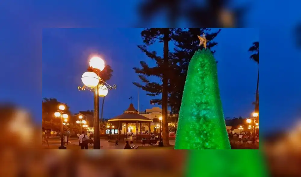 Usan 12 mil botellas y 24 mil tapas de plástico para elaborar árboles y adornos navideños [VIDEO]