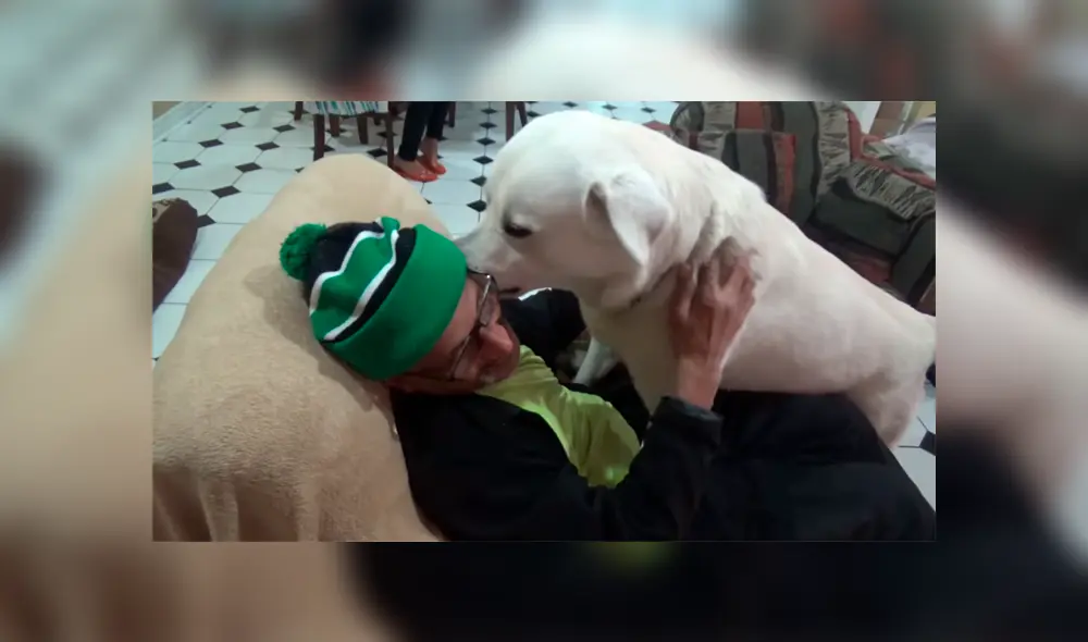 Desliza para ver los momentos más destacados del tierno video que se hizo viral en YouTube. Desliza para ver los momentos más destacados del tierno video que se hizo viral en YouTube.