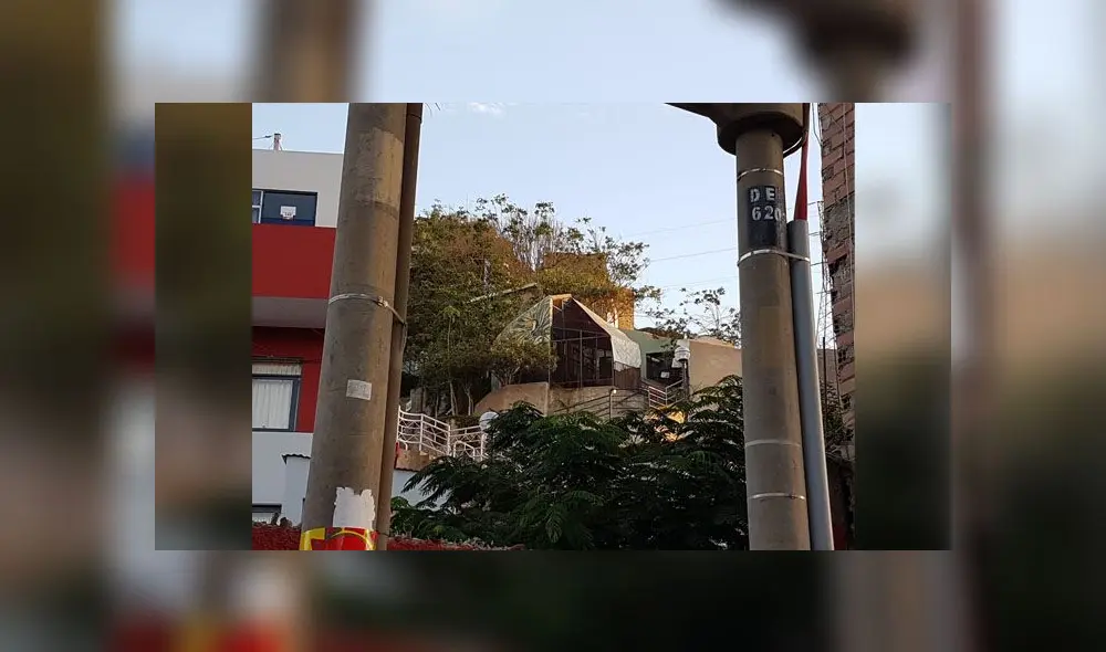 Presencia de animales atrajo una gran cantidad de zancudos que representan un riesgo para los vecinos. Foto: Difusión.