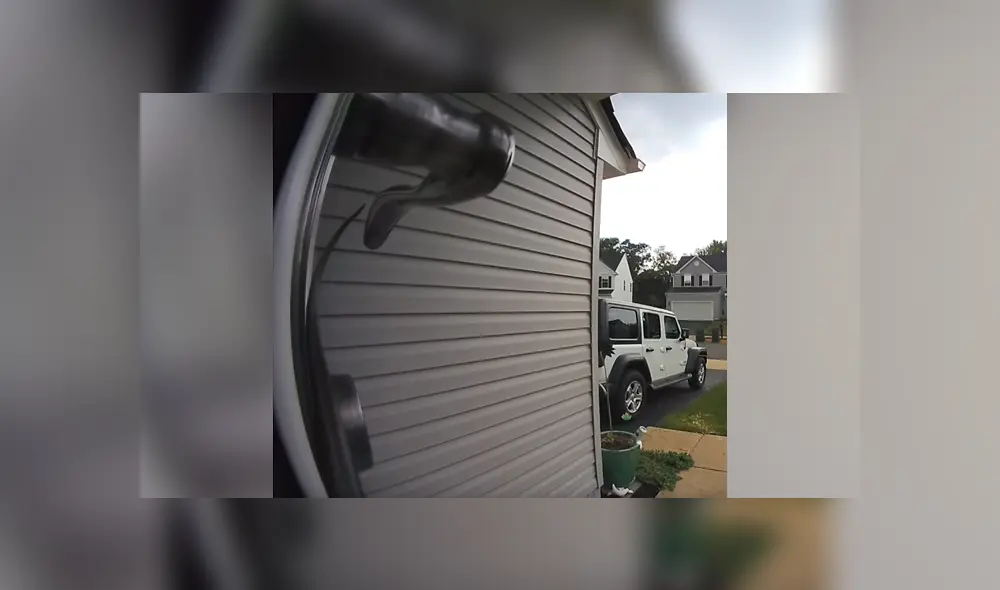 Letal serpiente ingresa a casa de mujer de Estados Unidos.