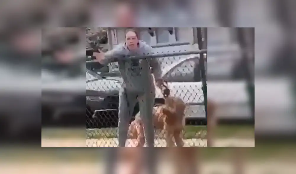 La profesora Nicole Griggs paseaba con su perro cuando inició las recriminaciones a los adolescentes. La profesora Nicole Griggs paseaba con su perro cuando inició las recriminaciones a los adolescentes.