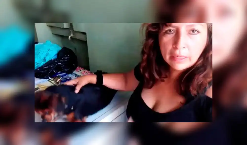 SJL: denuncian que en parque vienen envenenando perros y gatos [VIDEO]