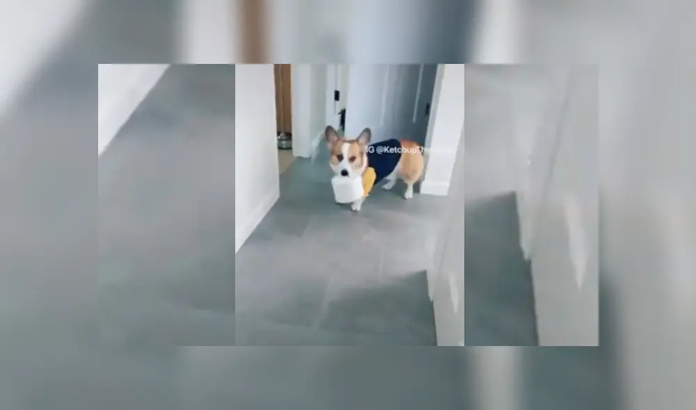 Desliza hacia la izquierda para ver más del video viral. Fotocaptuira: Twitter Desliza hacia la izquierda para ver más del video viral. Fotocaptuira: Twitter