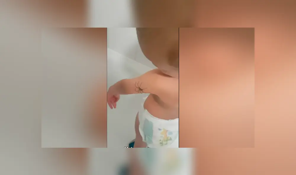 Facebook viral: bebé descubre que enorme araña caminaba por su brazo y tiene insólita reacción Facebook viral: bebé descubre que enorme araña caminaba por su brazo y tiene insólita reacción