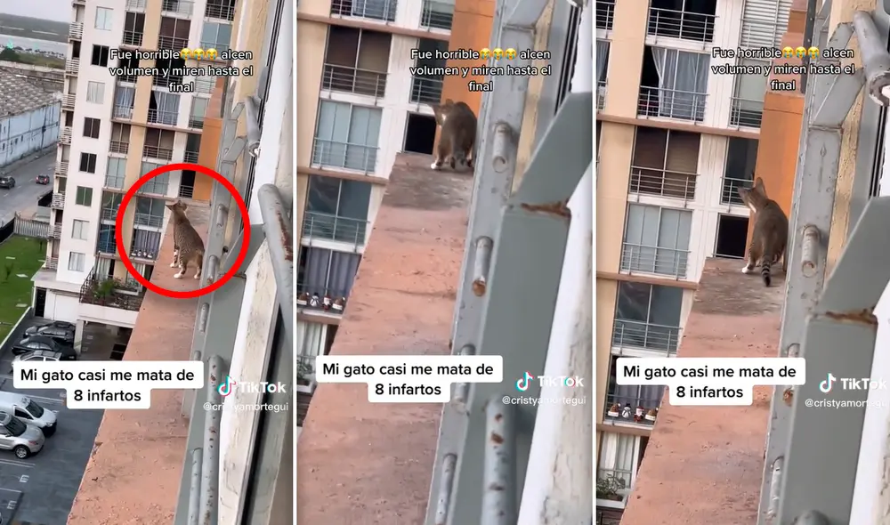 Foto: composición LR/TikTok/@cristyamortegui
