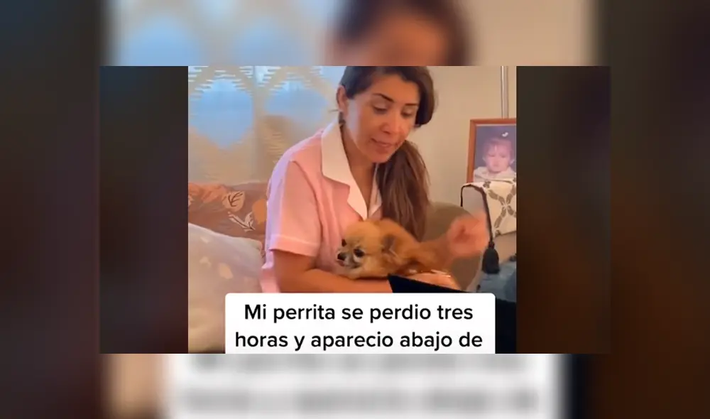 Desliza la imagen de TikTok para ver todas las fotos. Desliza la imagen de TikTok para ver todas las fotos.