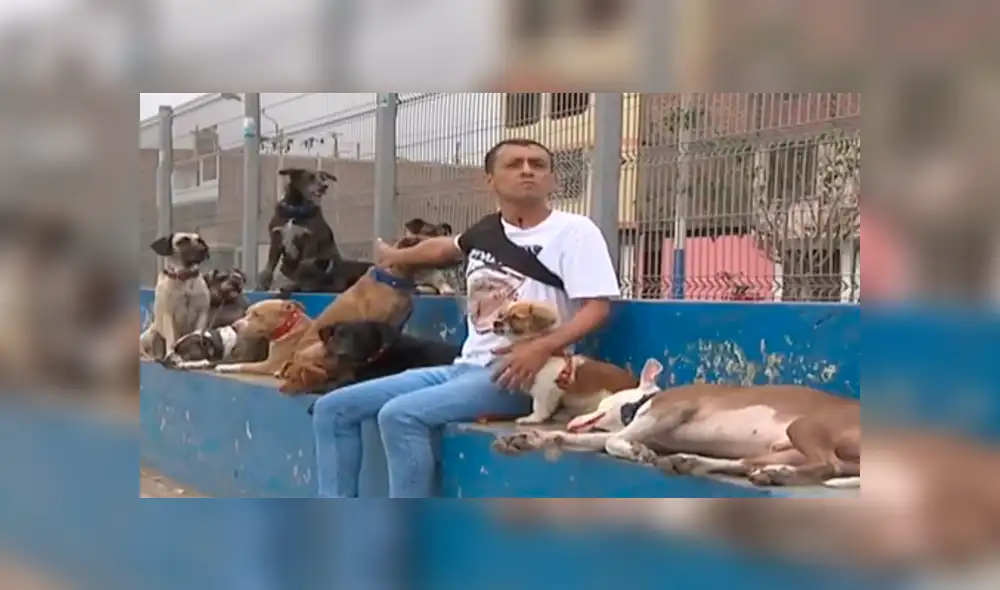 Envenenan a las nueve mascotas del ‘‘Domador de perros’’ [VIDEO]