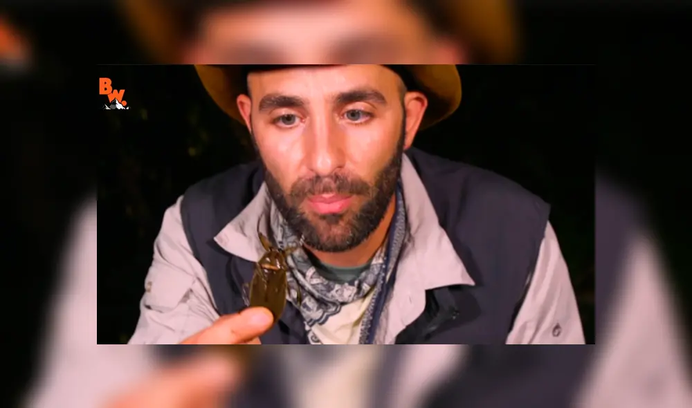 Un video muestra al popular 'Coyote' Peterson siendo mordido por una chinche de agua gigante. Un video muestra al popular 'Coyote' Peterson siendo mordido por una chinche de agua gigante.