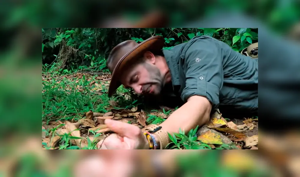 Un video muestra al famoso 'Coyote' Peterson siendo picado por una gigantesca hormiga bala. Un video muestra al famoso 'Coyote' Peterson siendo picado por una gigantesca hormiga bala.