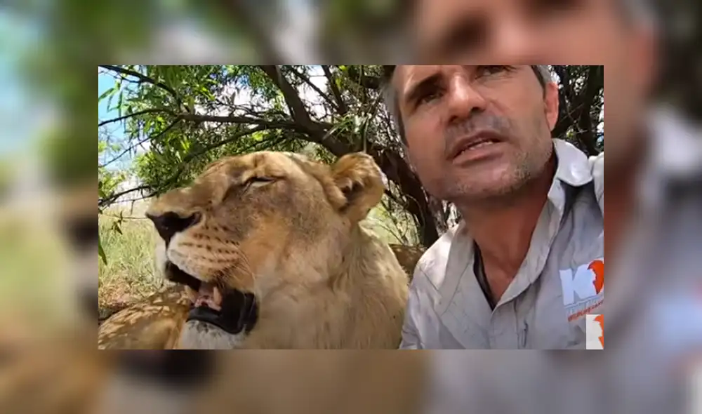 Desliza hacia la izquierda para ver las imágenes del viral de Facebook. Foto:
The Lion Whisperer. Desliza hacia la izquierda para ver las imágenes del viral de Facebook. Foto:
The Lion Whisperer.