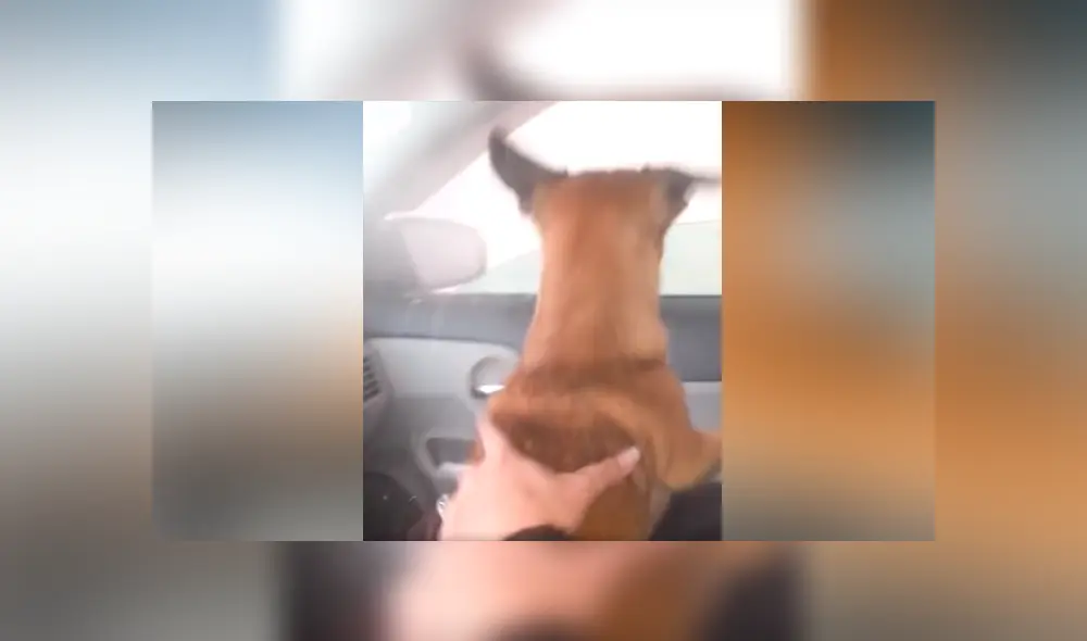 Desliza para ver los momentos más divertidos del video que se hizo viral en YouTube. Desliza para ver los momentos más divertidos del video que se hizo viral en YouTube.