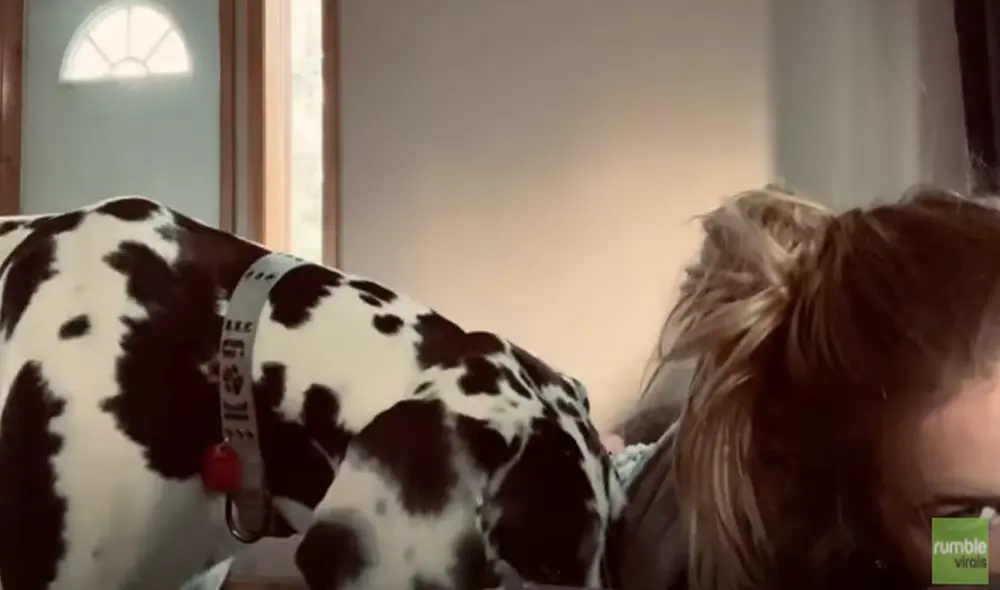 Desliza hacia la izquierda para ver las imágenes del video viral. Foto: Captura de YouTube.