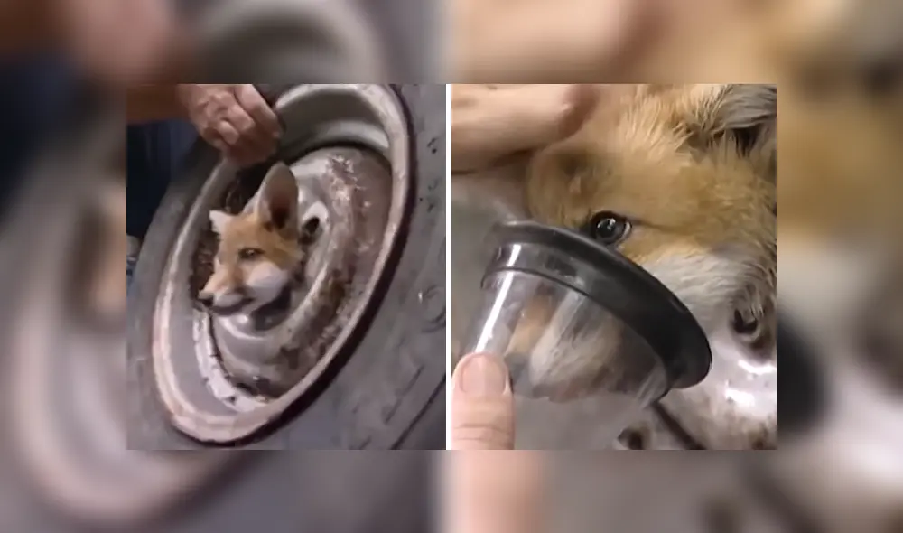 Desliza las imágenes para ver más detalles de esta conmovedora escena que es viral en Facebook. Desliza las imágenes para ver más detalles de esta conmovedora escena que es viral en Facebook.