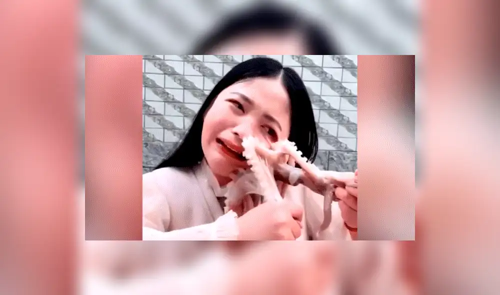 YouTube viral: chica pretendió comer un pulpo vivo y este la ataca de la peor forma [VIDEO]