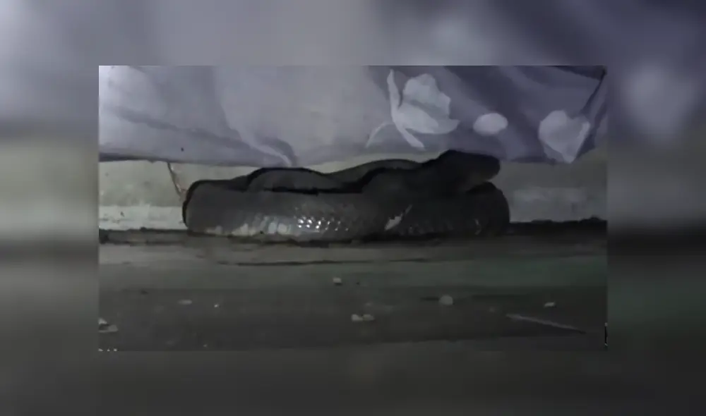 Desliza hacia la izquierda para ver las imágenes del viral de Facebook. Foto: Captura.