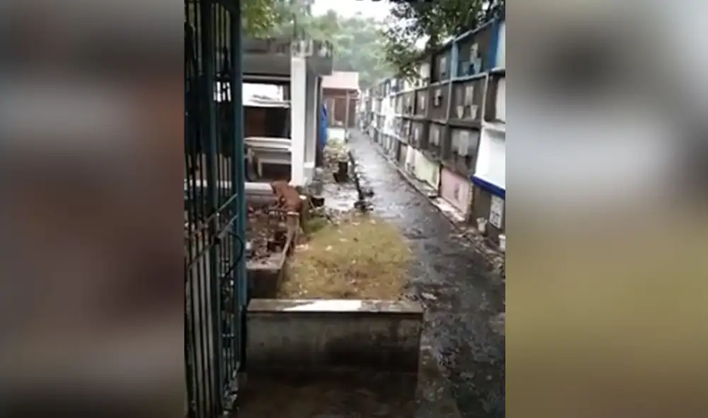 Desliza las imágenes para ver más sobre la conmovedora escena en la que un perro no se separa de la tumba de su dueño fallecido. Foto: captura de YouTube Desliza las imágenes para ver más sobre la conmovedora escena en la que un perro no se separa de la tumba de su dueño fallecido. Foto: captura de YouTube