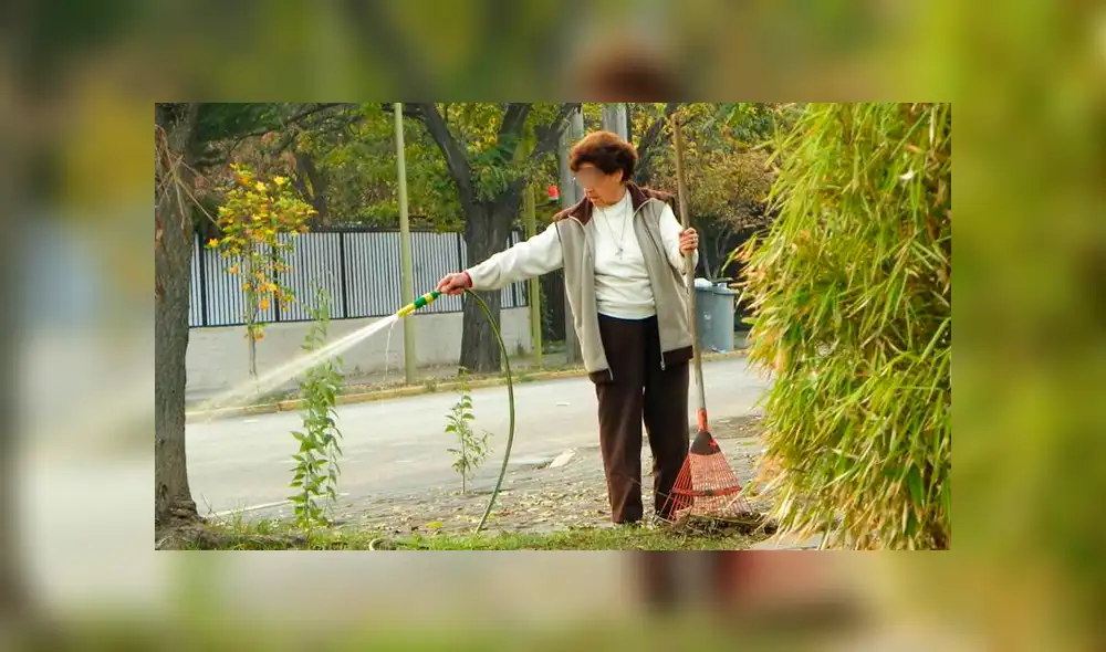 La ordenanza prohibe además, que se rieguen las áreas verdes y árboles de la calle entre las 8 de la mañana y 8 de la noche. (foto: referencial)