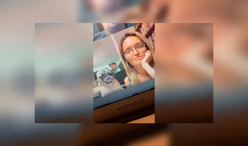 Desliza las imágenes para conocer la travesura de un perro al interrumpir la clase virtual de su dueña. Foto: The Pug. Desliza las imágenes para conocer la travesura de un perro al interrumpir la clase virtual de su dueña. Foto: The Pug.