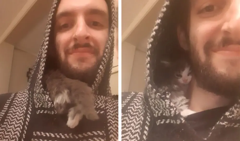 Desliza las imágenes para apreciar la cariñosa acción de un gato bebé para evitar separarse de su nuevo dueño. Fotocaptura: Facebook. Desliza las imágenes para apreciar la cariñosa acción de un gato bebé para evitar separarse de su nuevo dueño. Fotocaptura: Facebook.