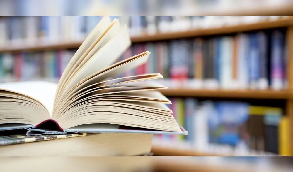 ¿Un bibliotecario? ¿Para qué?