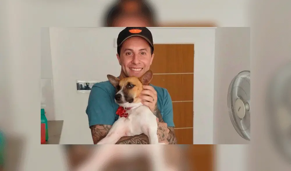 Rescatan a perra que fue maltratada en un tren y esperan que sus dueños la recuperen